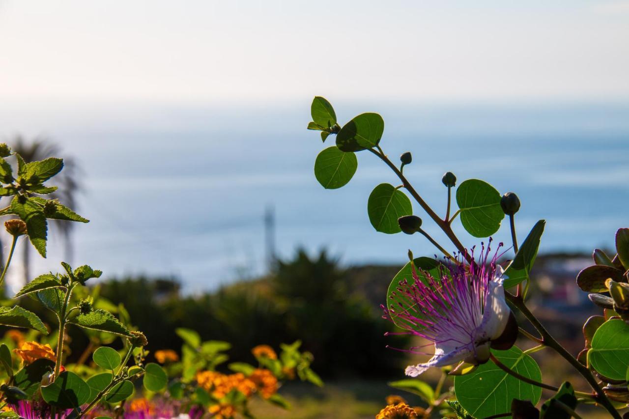 Agriturismo Al Cappero Малфа Екстериор снимка